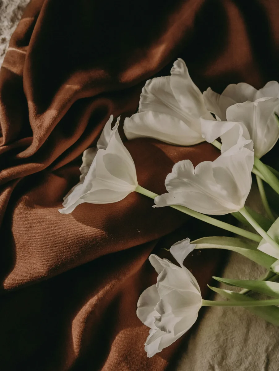 White tulips lying on folds of brown satin